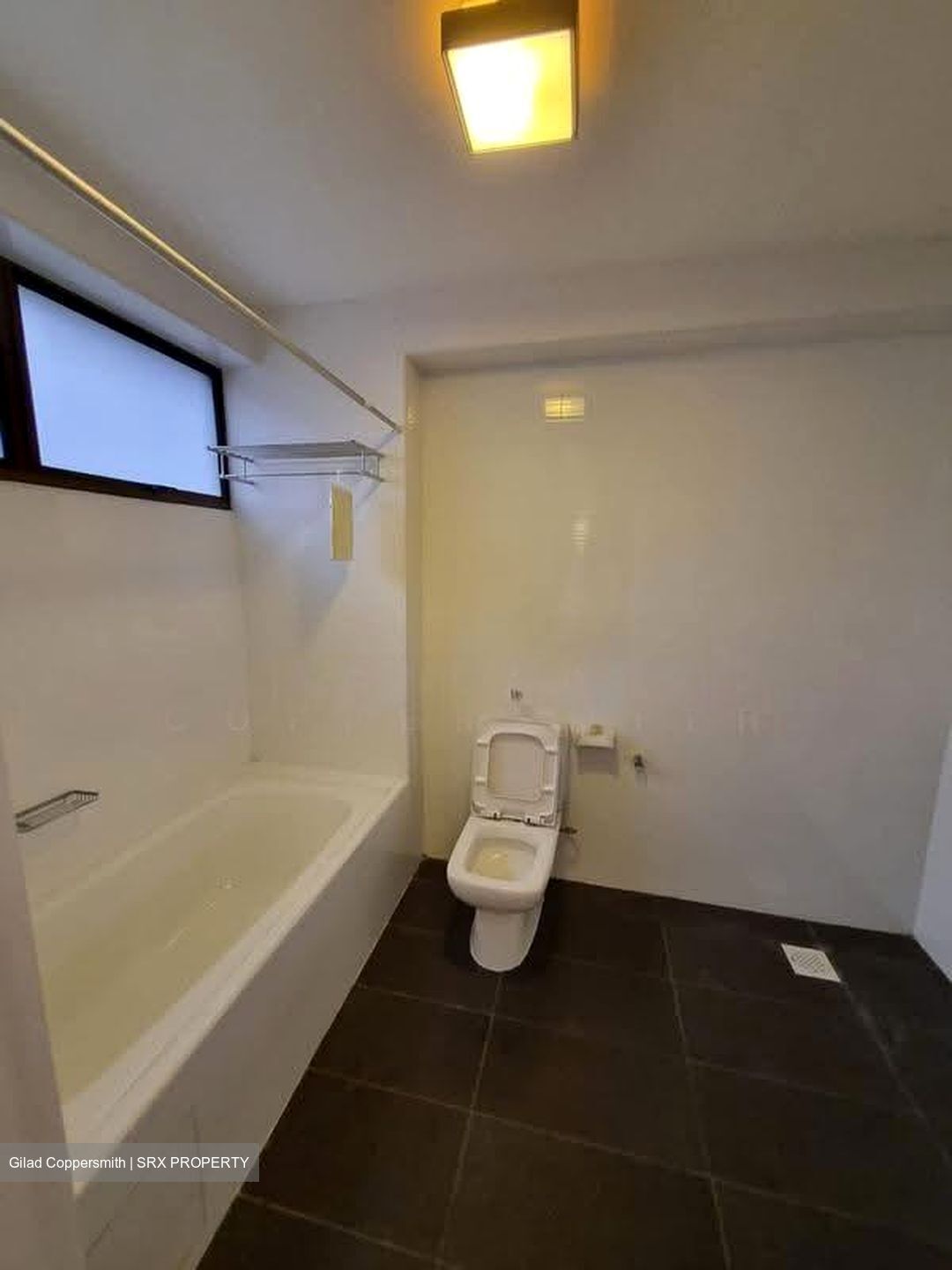 The Cairnhill (D9), Condominium #619024681